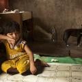 Shanty housing in the Philippines 