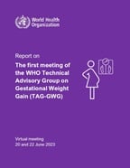 TAG-GWG first meeting report publication cover