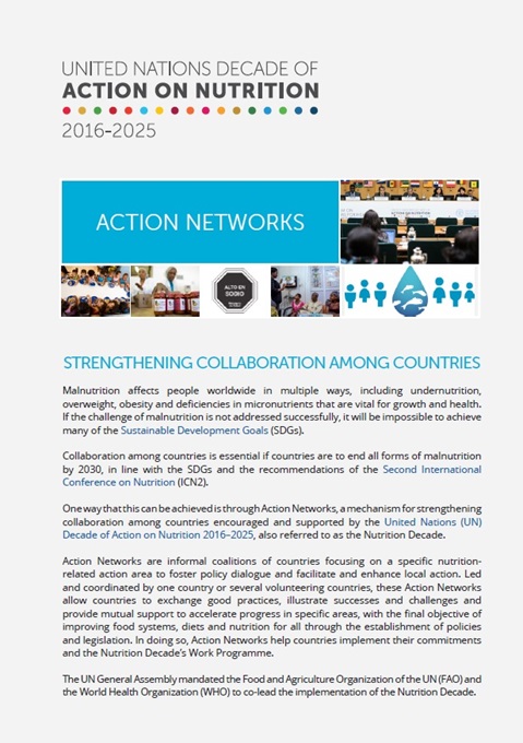 UN Decade of Action on Nutrition 2016-2025: Action Networks