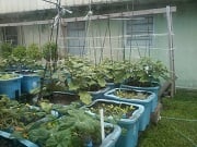 food_safety1